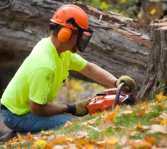 tree services Tucker